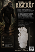 Load image into Gallery viewer, 1995 Rawley Springs, Virginia Bigfoot cast replica