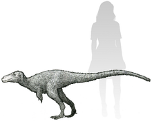 Laden Sie das Bild in den Galerie-Viewer, Dinosaur rental package #July 2026