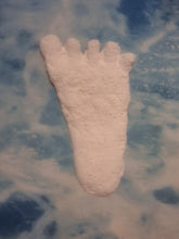 Load image into Gallery viewer, 1980s Bigfoot Cast Replica Footprint Track Kentucky