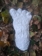 Load image into Gallery viewer, 2019 North Carolina Bigfoot Print Cast Replica Limited Edition Footprint for sale Bigfoot plaster cast