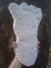Load image into Gallery viewer, 2019 North Carolina Bigfoot Print Cast Replica Limited Edition Footprint for sale Bigfoot plaster cast