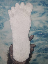Load image into Gallery viewer, 2015 Stomping Ground Bigfoot Foot cast