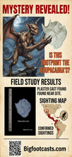 Load image into Gallery viewer, 2007 Chupacabra Plaster Footprint track cast replica