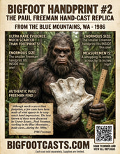 Load image into Gallery viewer, 1986  Bigfoot hand cast #2: XL hand Freeman