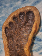 Cargar imagen en el visor de la galería, 1983 Bigfoot Grover Krantz LIMITED EDITION TRACK CAST Sasquatch footprint cast