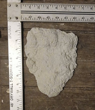 Laden Sie das Bild in den Galerie-Viewer, Orang Pendek Footprint Set of Casts (Prints #1 - 4