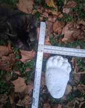 Load image into Gallery viewer, Bear: Black Bear Footprint Track Paw Print Alaska #2 Plaster