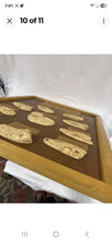 Load image into Gallery viewer, Antique Ward’s Girard Natural Science – “Evolution of the Human Skull” Anatomical Model