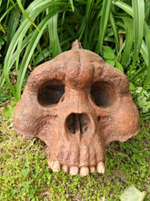 Charger l'image dans la galerie, Bigfoot Skull Cast Artistic Interpretation by Master artist ( top of skull only).