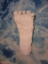Load image into Gallery viewer, 1980s Bigfoot Cast Replica Footprint Track Kentucky