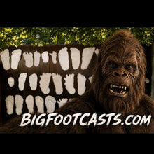 Load image into Gallery viewer, ITTY BITTY BIGFOOT Toy Figure