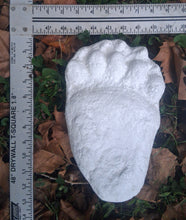 Load image into Gallery viewer, Bear: Black Bear Footprint Track Paw Print Alaska #2 Plaster