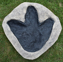 Load image into Gallery viewer, Tyrannosaurus Rex T.rex footprint track cast replica #1 T-rex