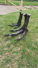 Load image into Gallery viewer, Tinker Juvenile Tyrannosaurus Rex T.rex foot cast replica T-rex