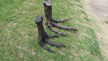 Load image into Gallery viewer, Tinker Juvenile Tyrannosaurus Rex T.rex foot cast replica T-rex