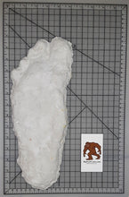 Load image into Gallery viewer, (Clearance) 2008 Bigfoot print cast from Yosemite National Park 2008 Yosemite Bigfoot cast replica