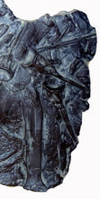 Laden Sie das Bild in den Galerie-Viewer, Xiphactinus audux fossil fish cast replica #2 panel