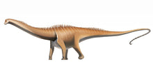 Load image into Gallery viewer, Diplodocus (Seismosaurus) skull cast replica
