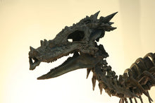 Load image into Gallery viewer, Dracorex hogwartsia skull cast replica