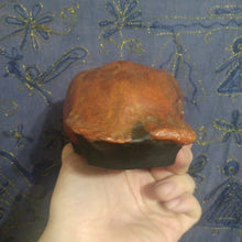 Charger l&#39;image dans la galerie, Homo erectus: Java Man skull cap cast replica Trinil