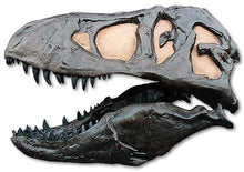 Cargar imagen en el visor de la galería, T.rex skull cast replica TMF