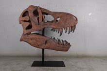 Laden Sie das Bild in den Galerie-Viewer, T.rex skull cast replica sculpture