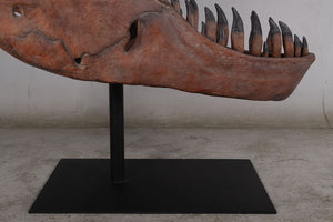 T.rex skull cast replica sculpture