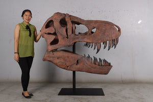 T.rex skull cast replica sculpture