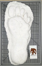Laden Sie das Bild in den Galerie-Viewer, 1982 Grays Harbor Hereford Bigfoot print cast &quot;E&quot;