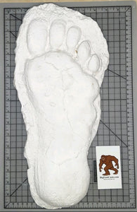 1982 Grays Harbor Hereford Bigfoot print cast "E"