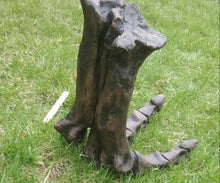 Charger l&#39;image dans la galerie, Tyrannosaurus Rex T.rex foot cast replica T-rex