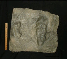 Charger l&#39;image dans la galerie, Laetoli Hominid Footprint tracks (2 tracks) impression casts