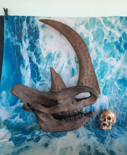 Cargar imagen en el visor de la galería, Woolly Rhino skull cast replica 3