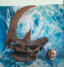 Laden Sie das Bild in den Galerie-Viewer, Woolly Rhino skull cast replica 3
