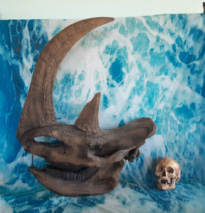 Woolly Rhino skull cast replica 3