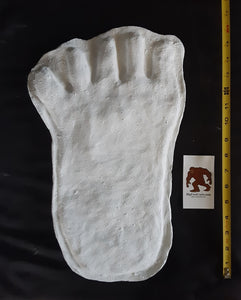 1976(?) Yowie Australian Yowie Footprint Yeti Footprint track cast Cryptozoology Yowie Bigfoot Cast Replica Footprint