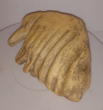 Laden Sie das Bild in den Galerie-Viewer, Dwarf Mammoth tooth cast replica