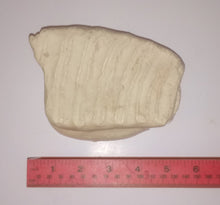 Load image into Gallery viewer, Mammoth tooth cast replica #5 (unpainted)