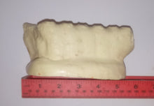 Cargar imagen en el visor de la galería, Mammoth tooth cast replica #5 (unpainted)