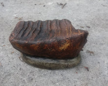Load image into Gallery viewer, Mammoth tooth cast replica #5 (painted)