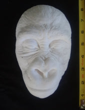 Charger l&#39;image dans la galerie, Gorilla: Juvenile Gorilla Face Death cast Life cast