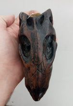 Load image into Gallery viewer, Othneilia Nanosaurus rex dinosaur skull cast replica