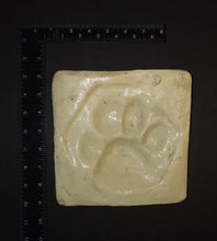 Laden Sie das Bild in den Galerie-Viewer, Tiger footprint cast replica track impression