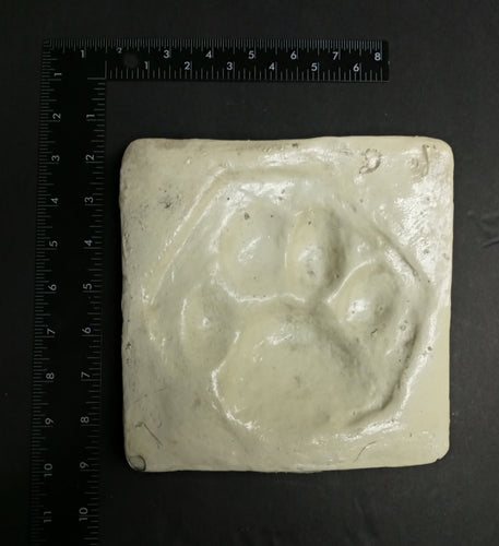 Tiger footprint cast replica track impression