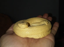 Charger l&#39;image dans la galerie, Snake: Rattle snake death cast replica