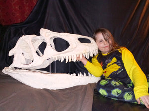 Allosaurus skull (unpainted / untrimmed)