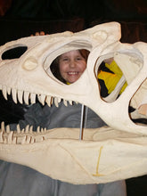 Laden Sie das Bild in den Galerie-Viewer, Allosaurus skull (unpainted / untrimmed)