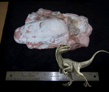 Laden Sie das Bild in den Galerie-Viewer, Velociraptor egg nest Dinosaur fossil egg cast for sale Replica Dinosaur Reproductions