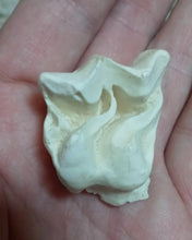 Laden Sie das Bild in den Galerie-Viewer, Brontotherium partial tooth cast