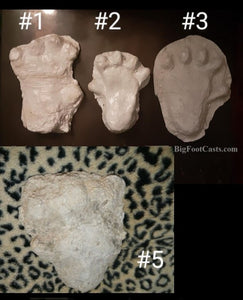 2013(?) Orang Pendek #5 footprint cast replica #5